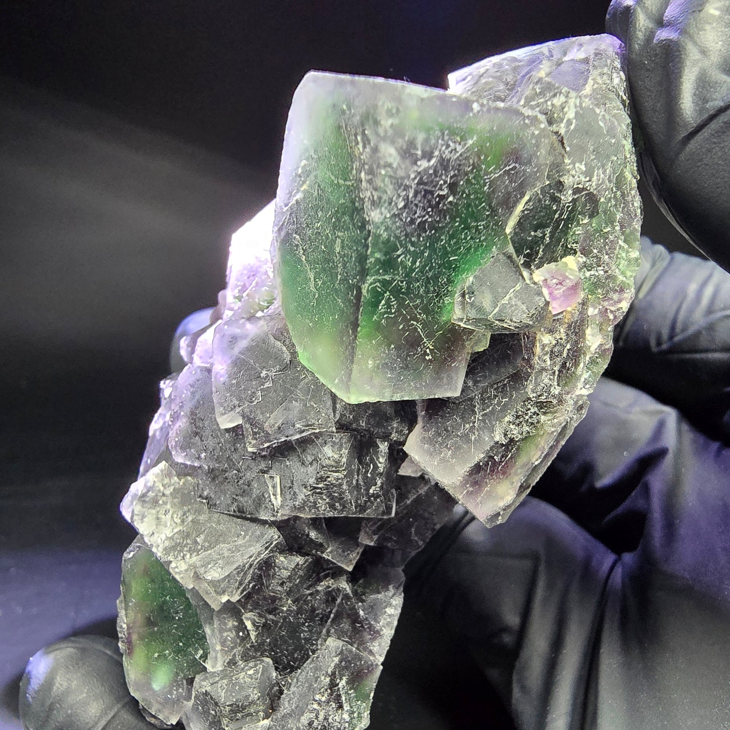 Rare niveau de cube de fluorite fantôme violet vert 86*46*31mm d'Okorusu, Namibie