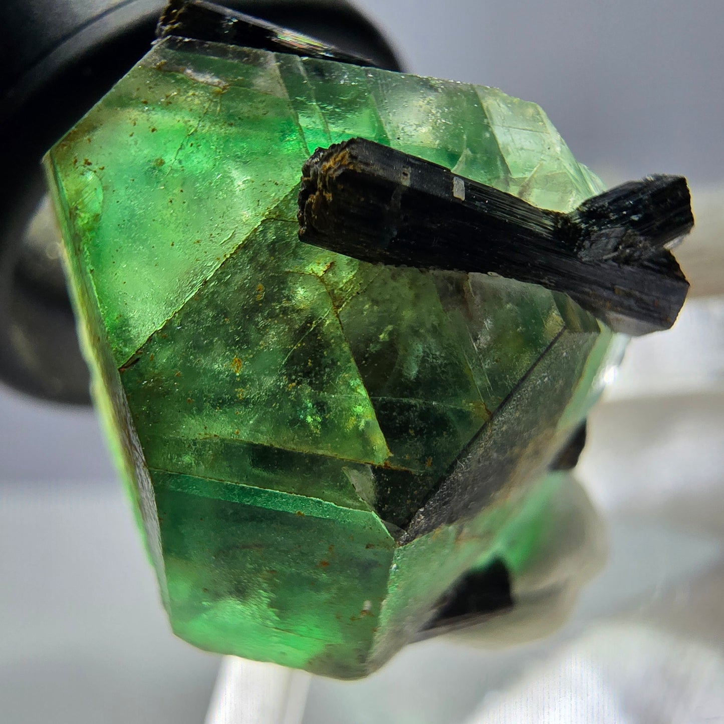 Spécimen de tourmaline Schorl hexagonale en fluorite fantôme, Erongo, Namibie, 23 x 22 x 22 mm