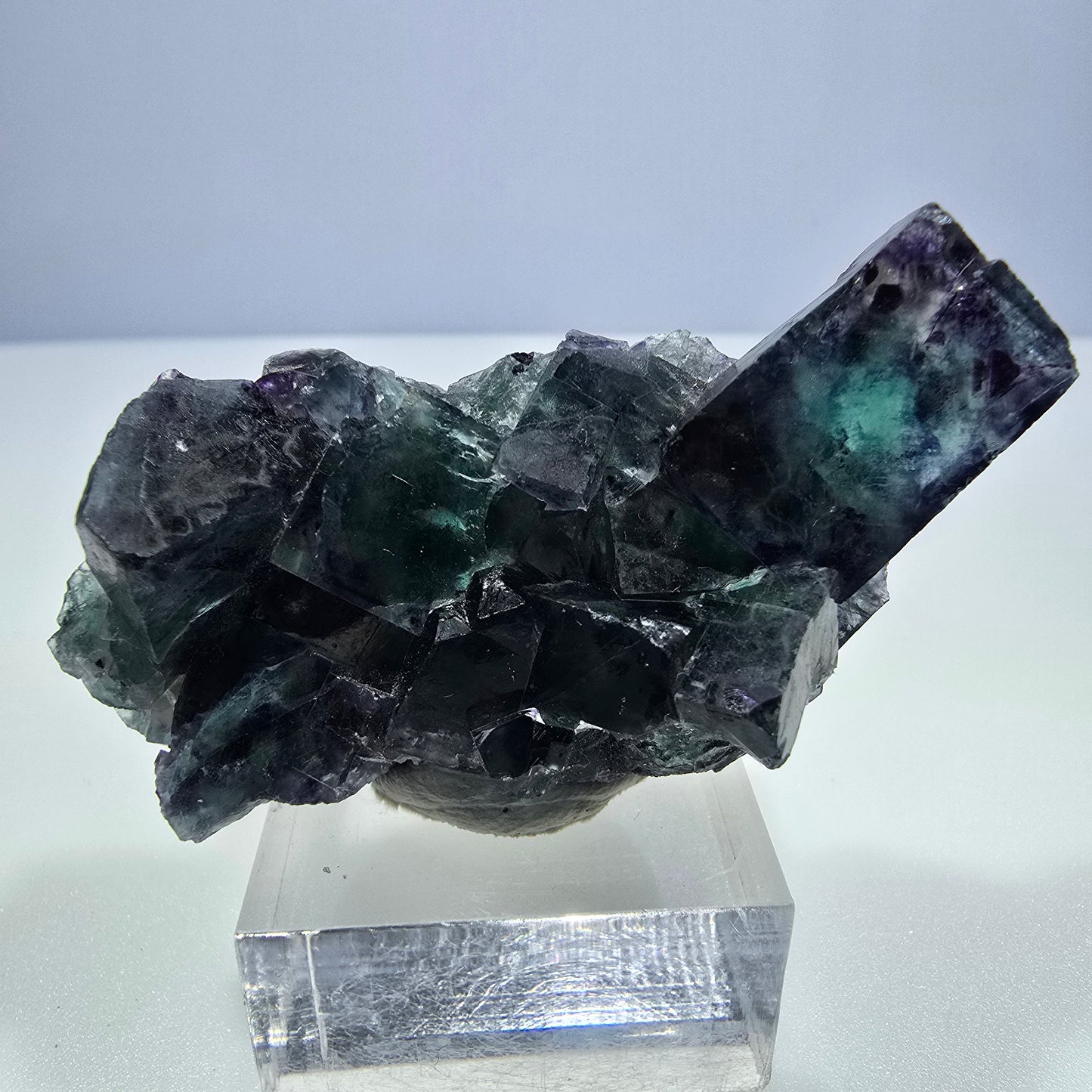 Spécimen de cube de fluorite fantôme transparente, vert-violet zonal, Okorusu, Namibie, 57 x 32 x 18 mm