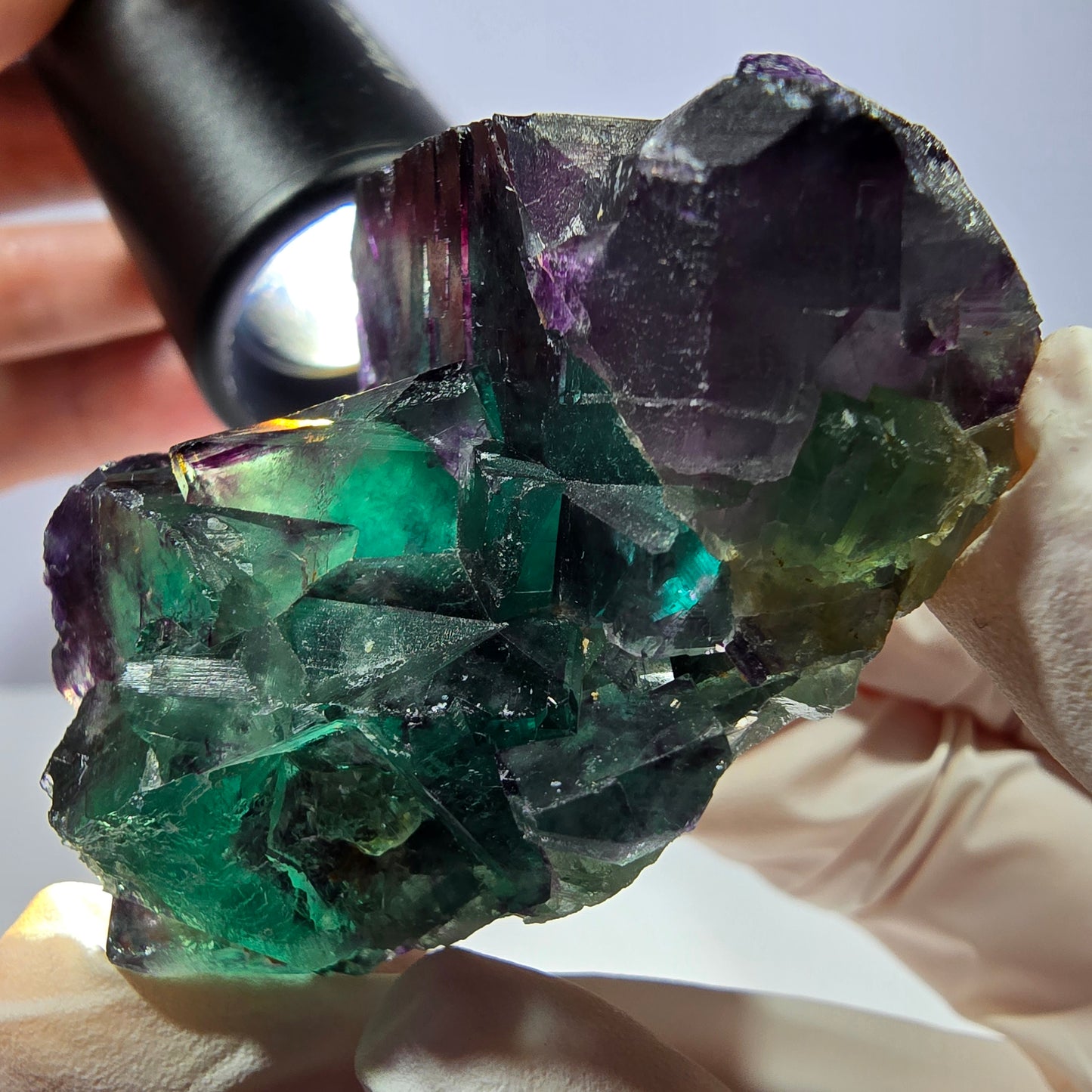 Spécimen de cube de fluorite fantôme, parqueté vert violet Okorusu, Namibie 58*40*27 mm
