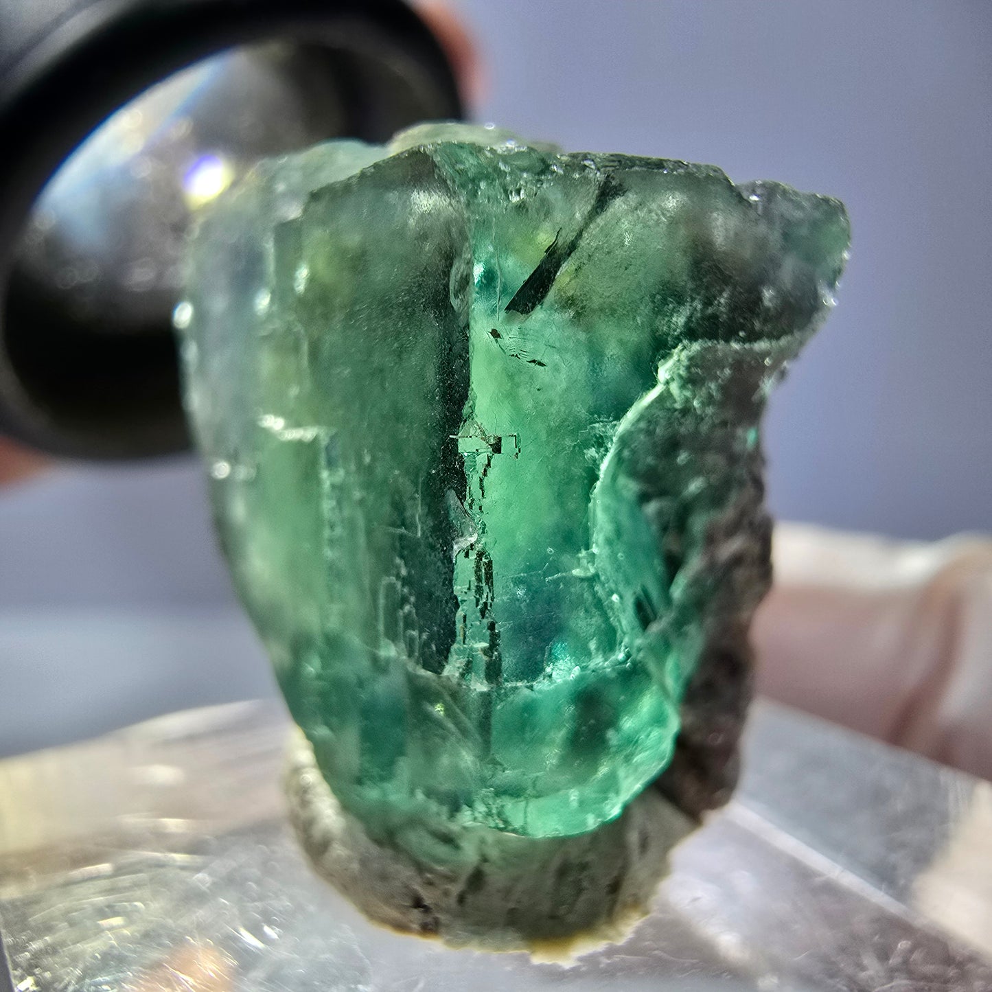 Cube de fluorite fantôme transparente parquetée, vert Okorusu, Namibie 20 x 19 x 15 mm