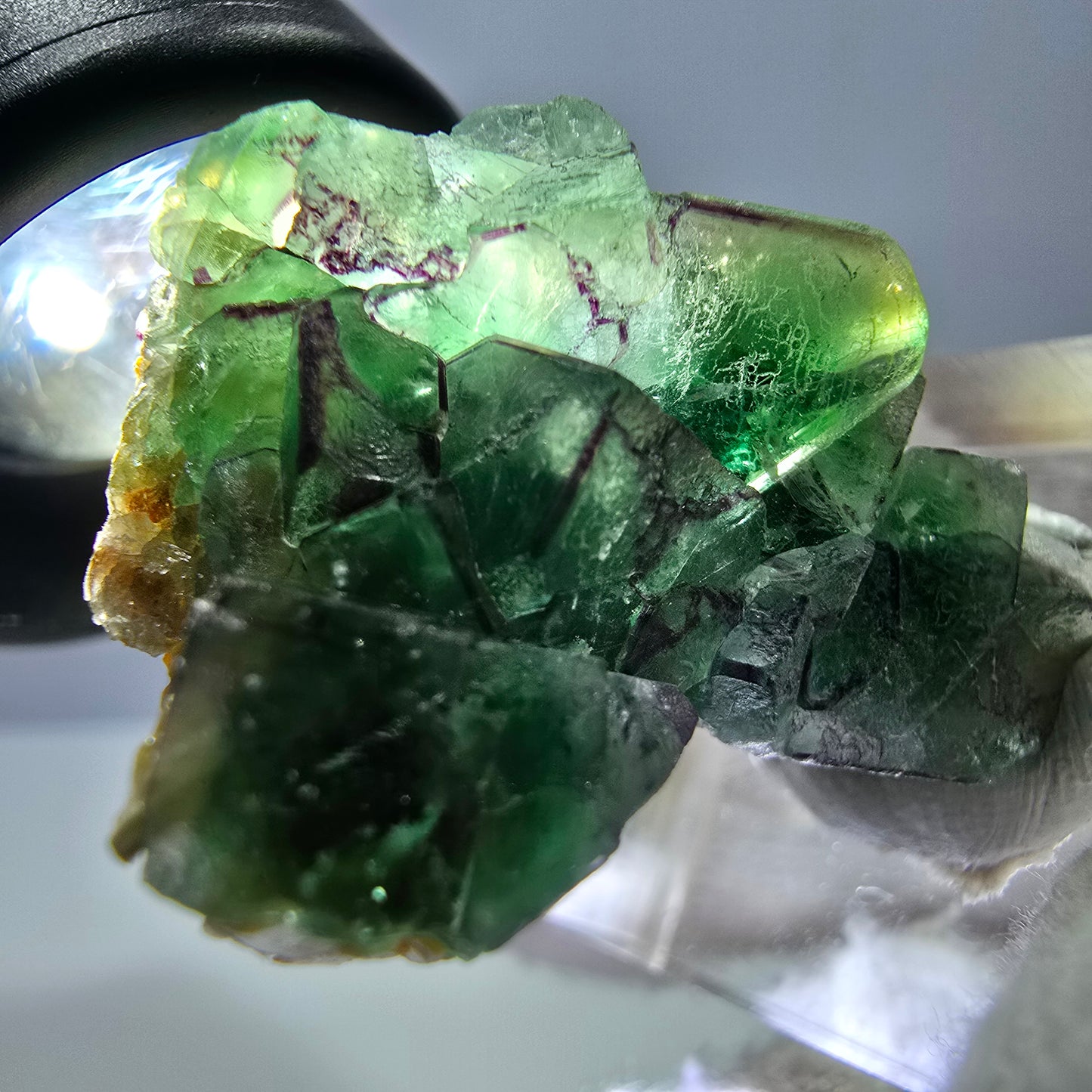 Cube de fluorite fantôme zonal, tourmaline muscovite Schörl Erongo Namibie 31 x 22 x 20 mm