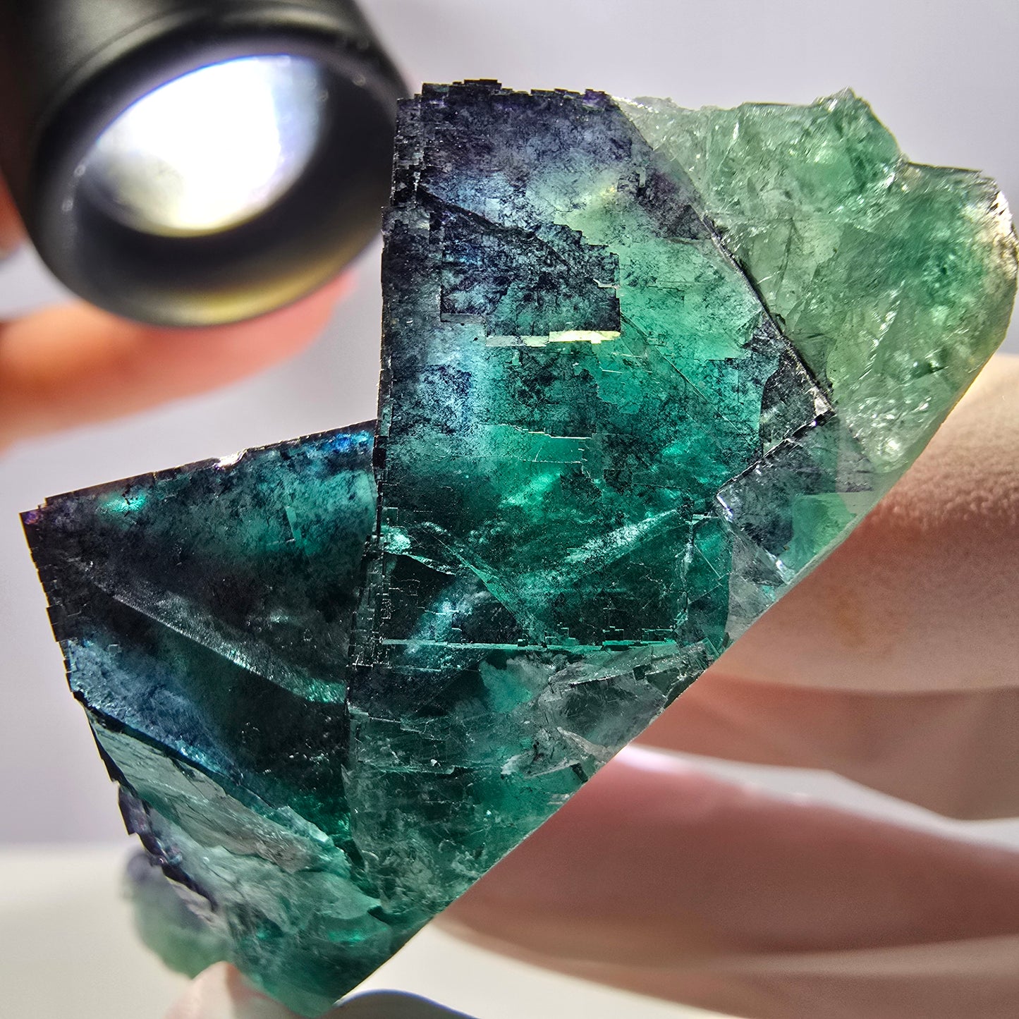 Spécimen de cube de fluorite fantôme parqueté vert violet Okorusu, Namibie 71*36*21mm