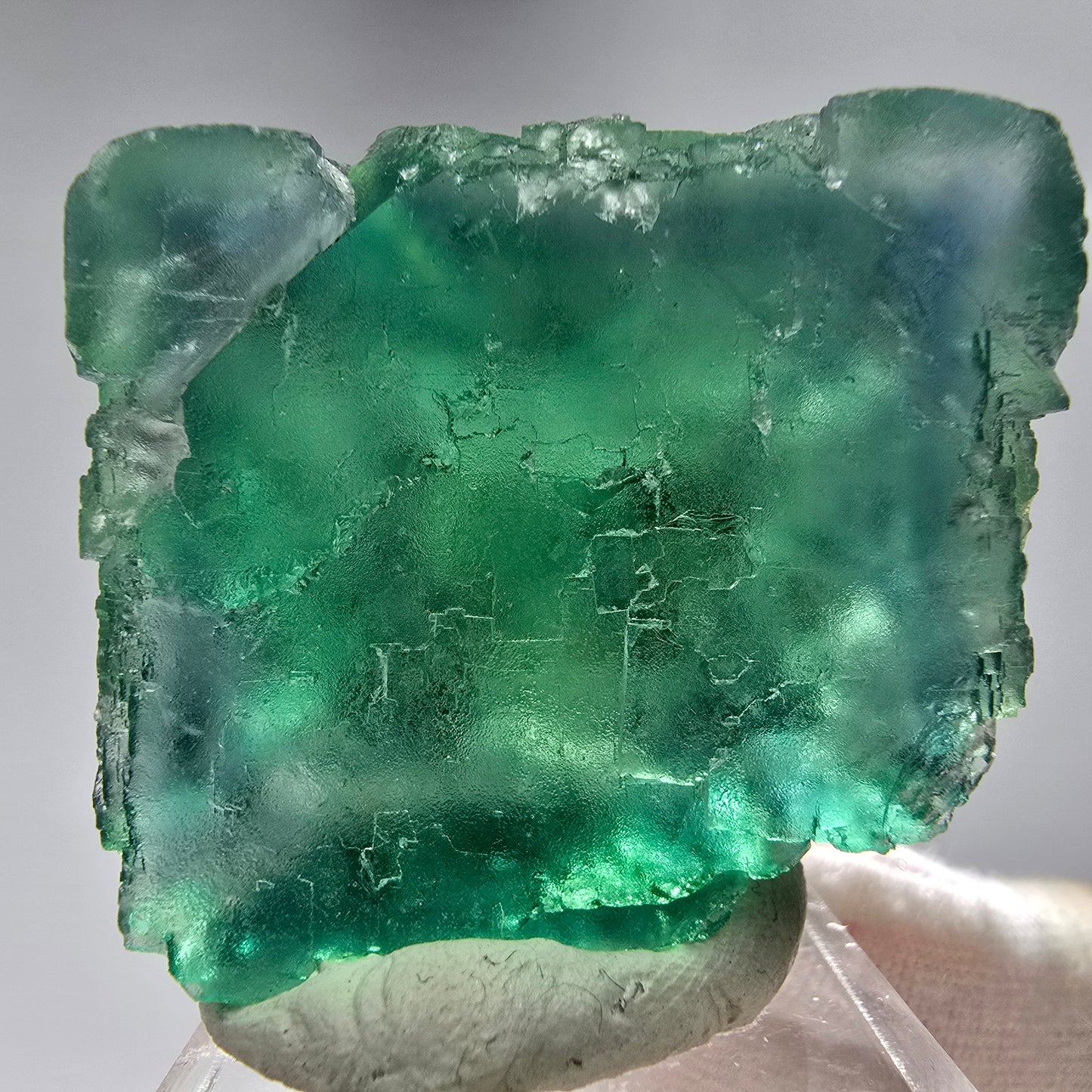 Klare Phantom Fluorit Würfel Stufe grün Okorusu, Namibia 48*43*23mm Sammlung