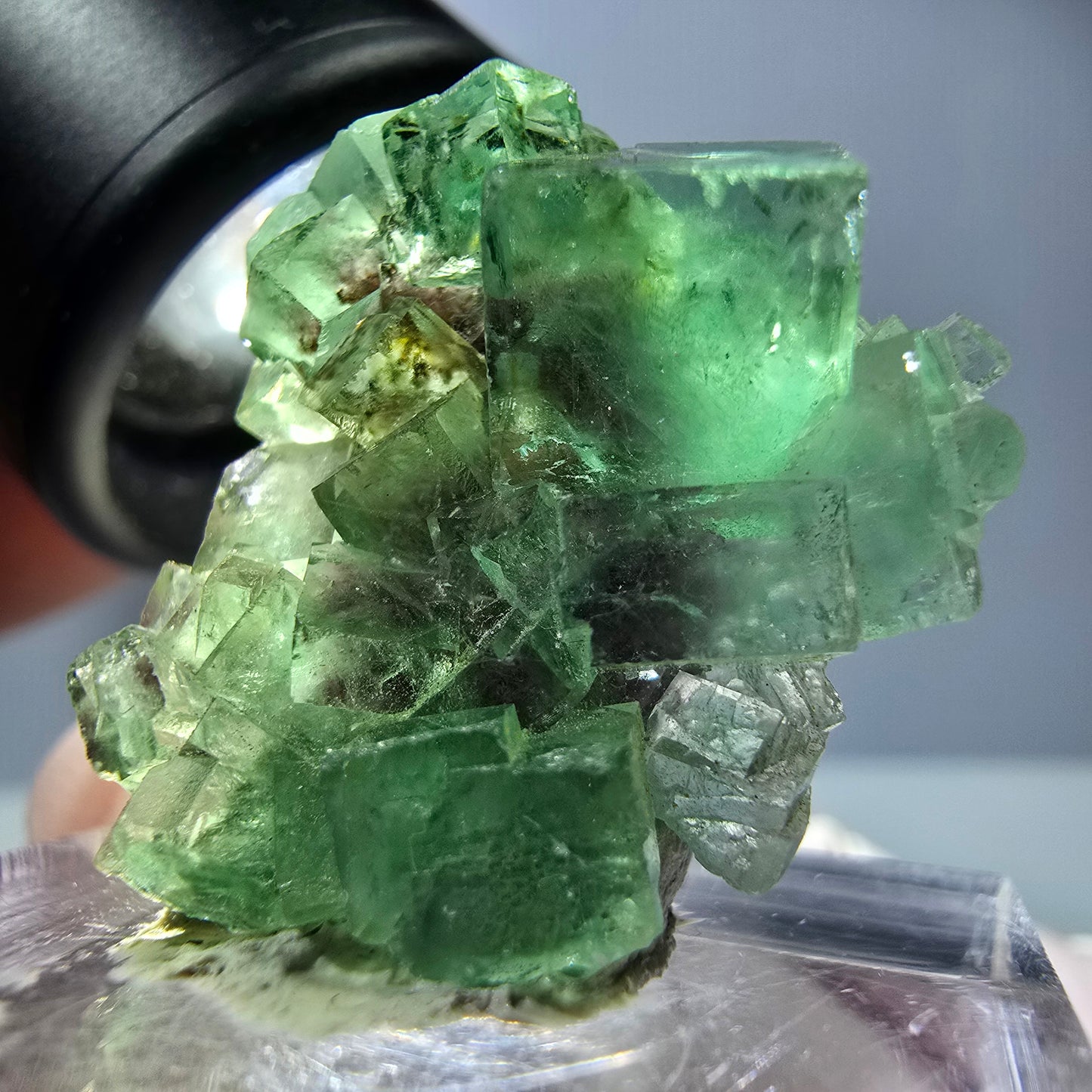 Spécimen de cube de fluorite fantôme, vert violet, Okorusu, Namibie, 25 x 24 x 15 mm