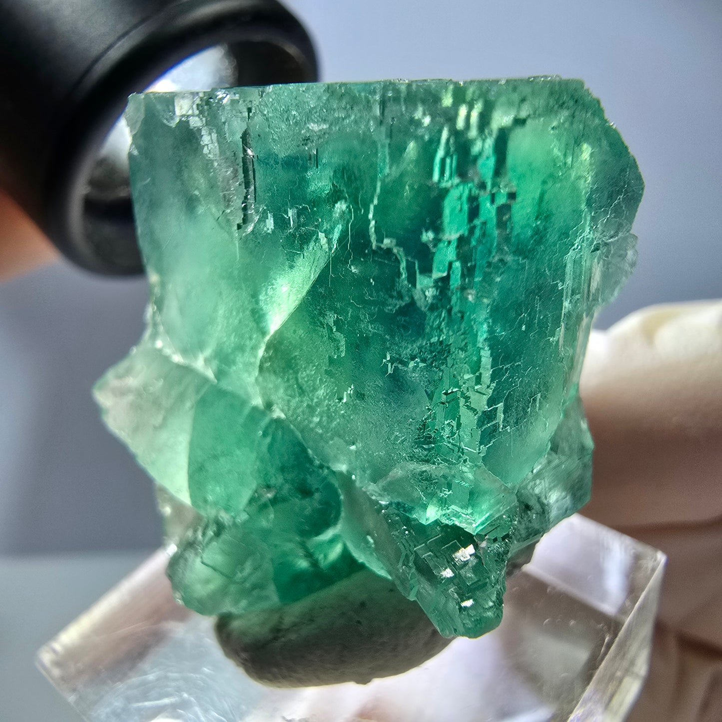 Rare spécimen de cube de fluorite fantôme, vert Okorusu, Namibie 34 x 29 x 21 mm