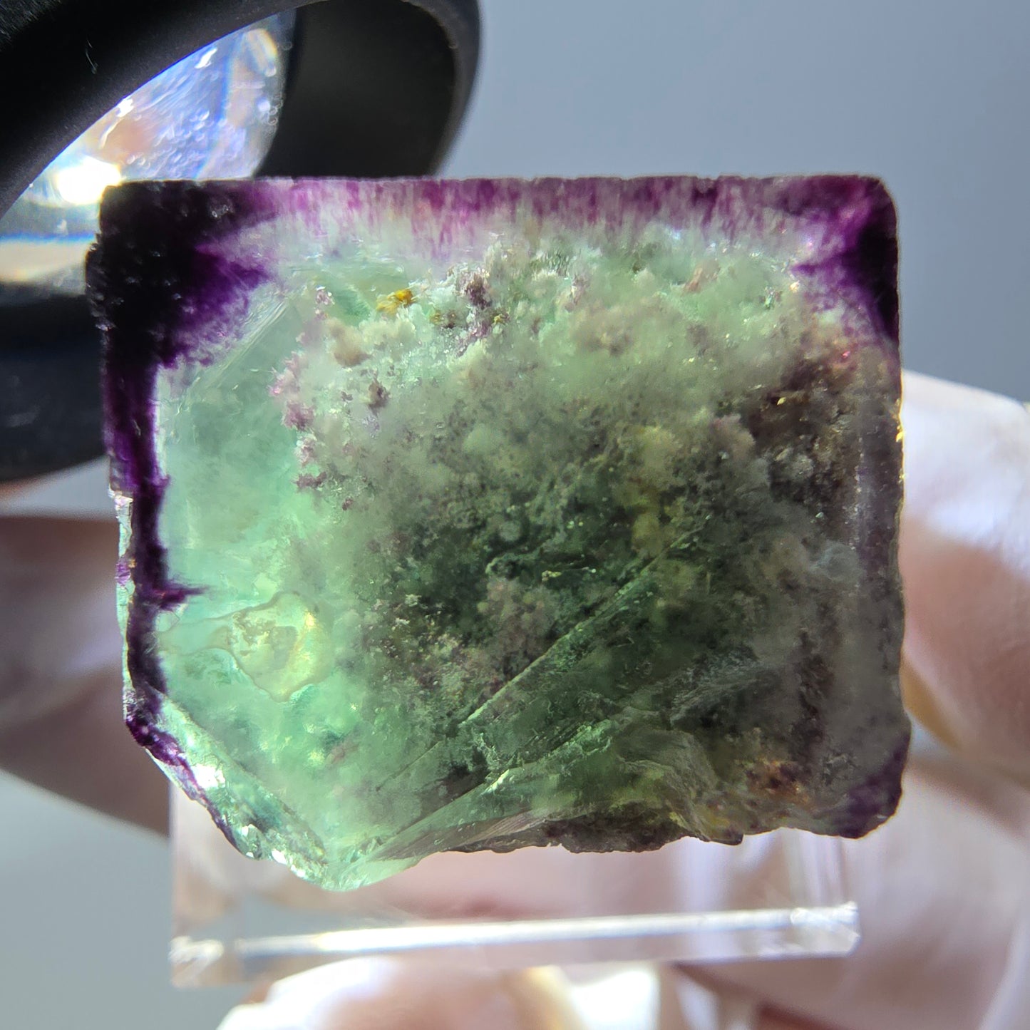 Phantom Fluorit Würfel parkettiert, zonal, grün lila Okorusu, Namibia 21*20*18mm