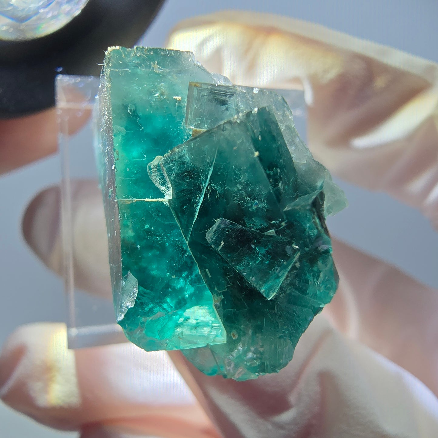 Phantom Fluorit Würfel Stufe, grün parkettiert Okorusu, Namibia 27*23*16mm