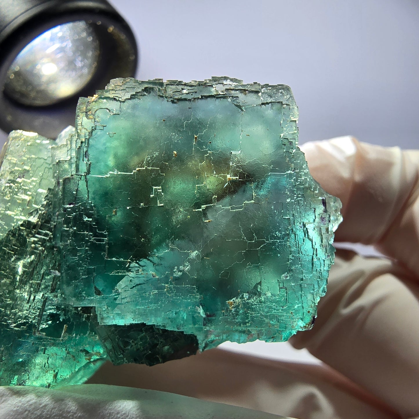 Spécimen de cube de fluorite fantôme transparente, parqueté vert Okorusu, Namibie 49 x 31 x 31 mm