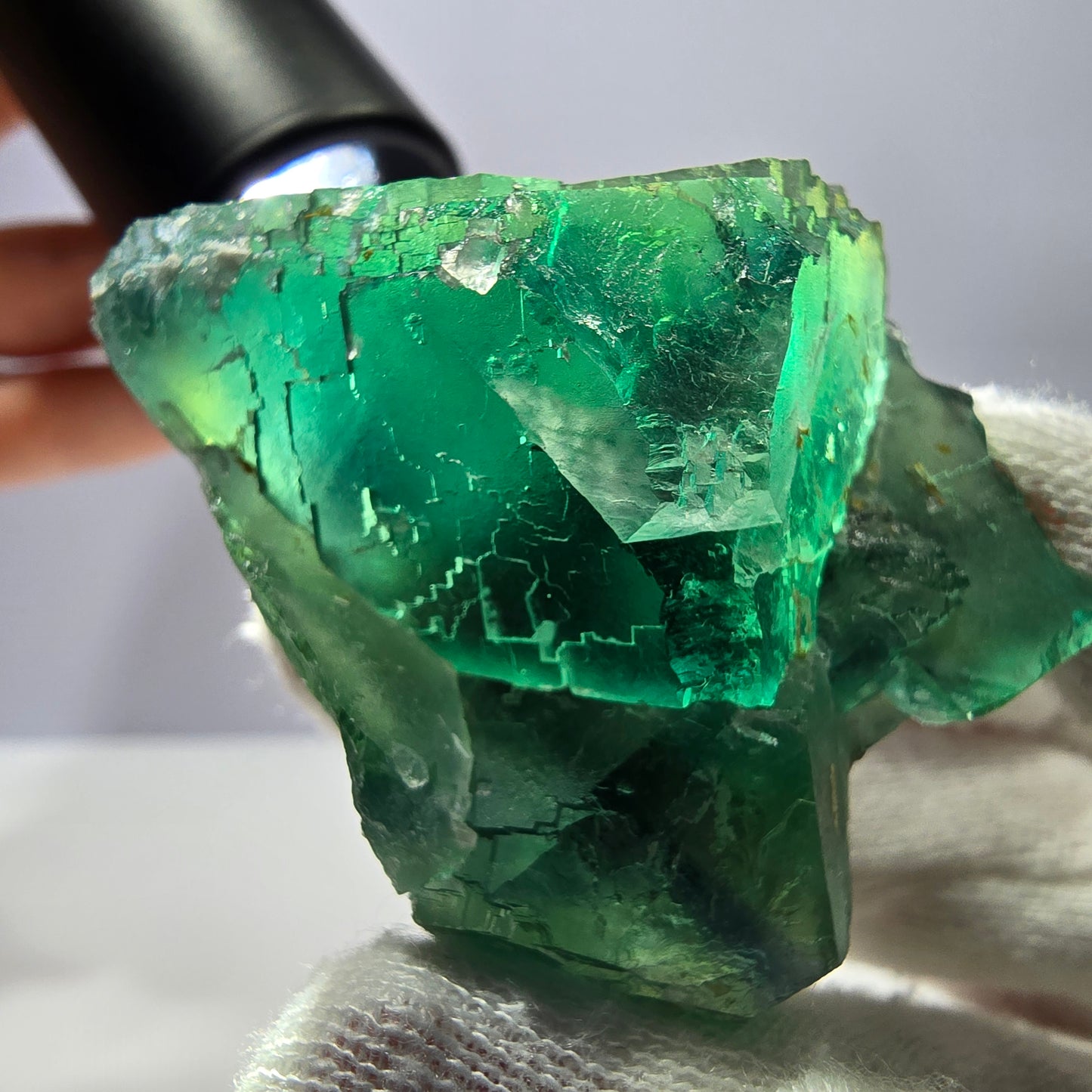 Rare spécimen de cube de fluorite fantôme, parqueté vert Okorusu, Namibie, 52 x 41 x 31 mm