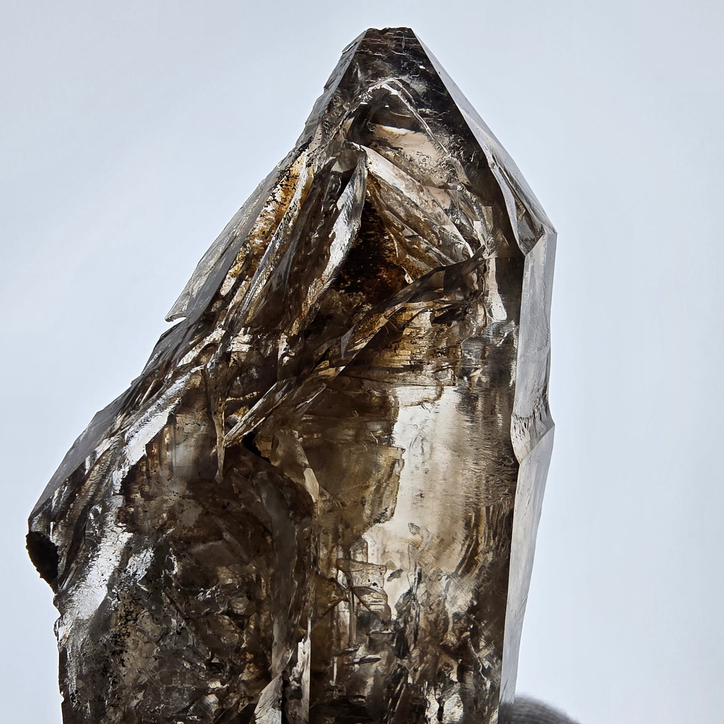 Sceptre DT en quartz fumé squelette Enhydro, 1x pochette Saint-Valentin à bulles, Namibie 126 x 59 x 39 mm