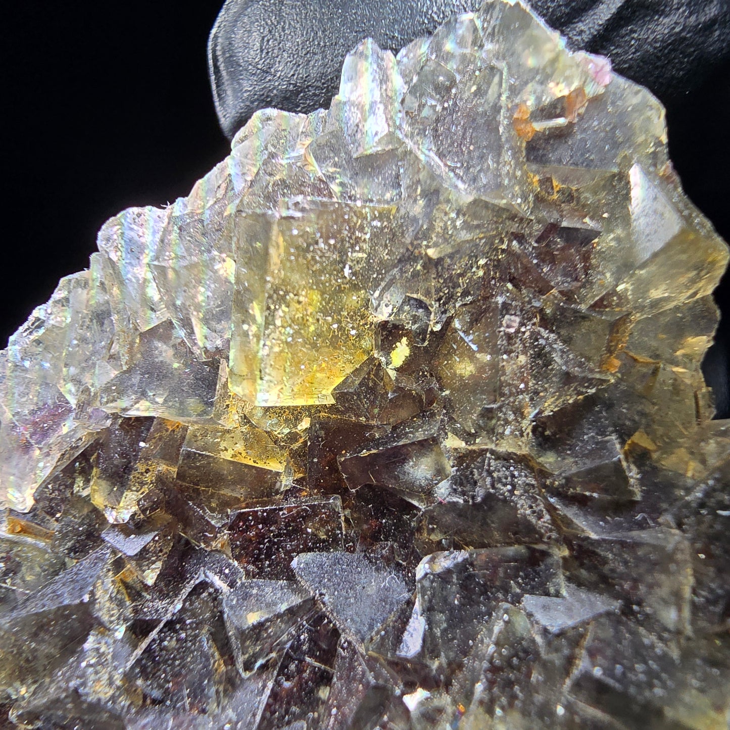 Honey Pocket Phantom Fluorite stage jaune violet Okorusu Namibie 49*37*11mm collection