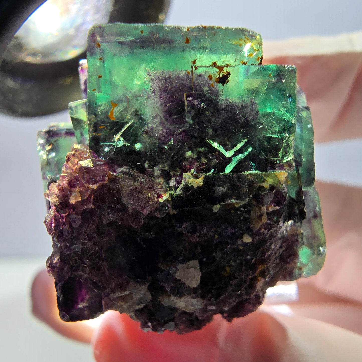 Spécimen de cube de fluorite fantôme, parqueté vert violet Okorusu, Namibie 28*27*22 mm