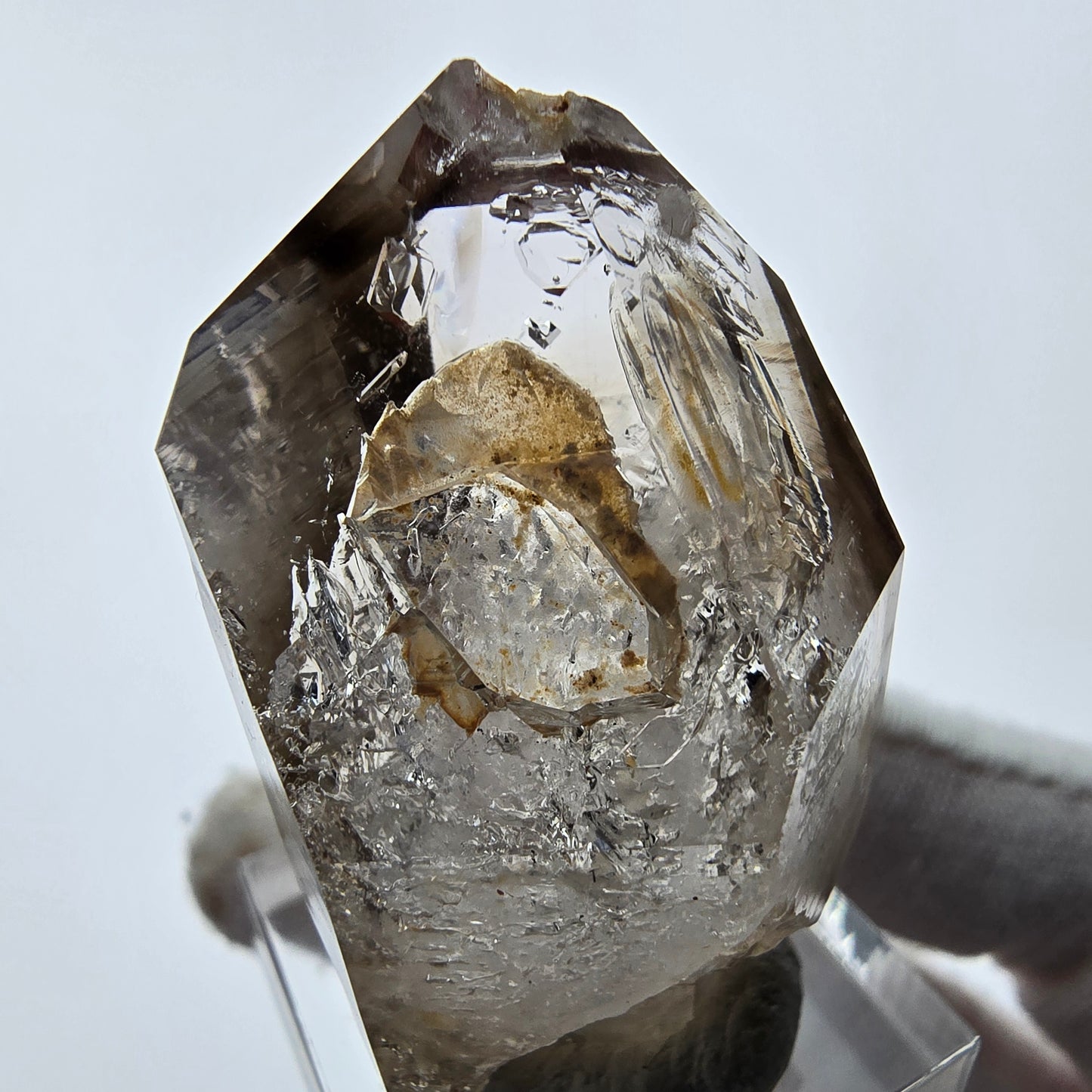 Enhydro Phantom Smoky Quartz Sceptre Tip 1x Bubble Goboboseb, Namibie 42*25*21mm