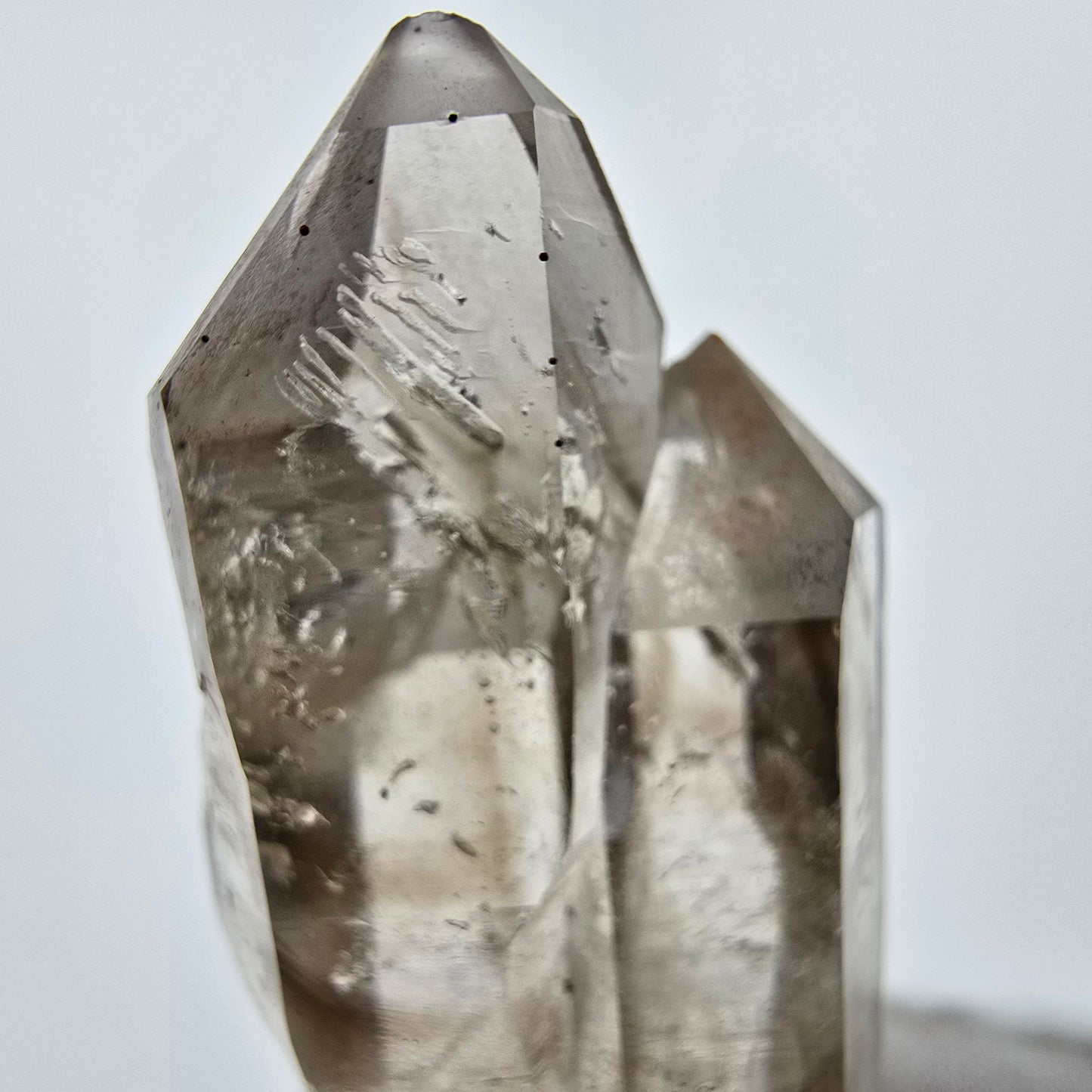 Enhydro Phantom Sceptre à Quartz Fumé Niveau 1x Bubble Goboboseb, Namibie 47*23*17mm