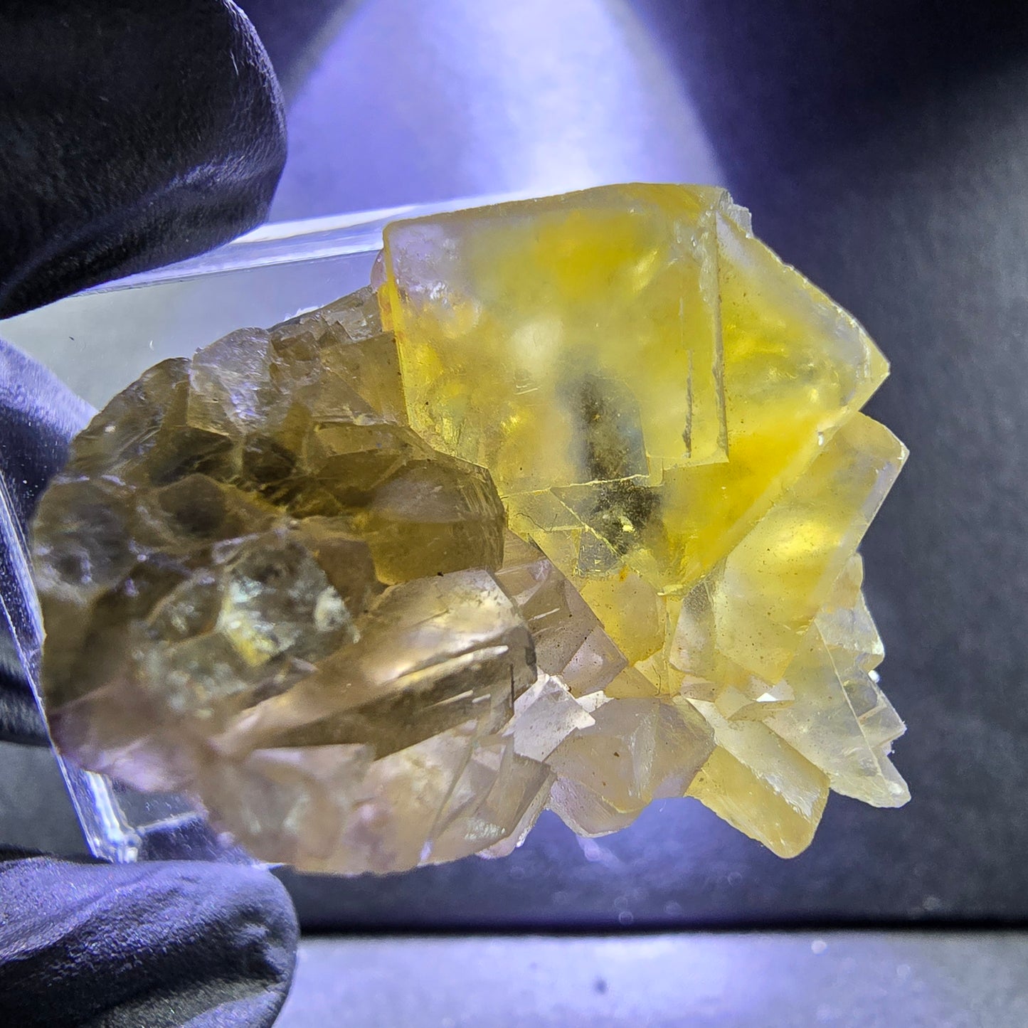 Seltene Honey Pocket Phantom Fluorit XX Würfel Stufe 31*20*19mm Okorusu, Namibia