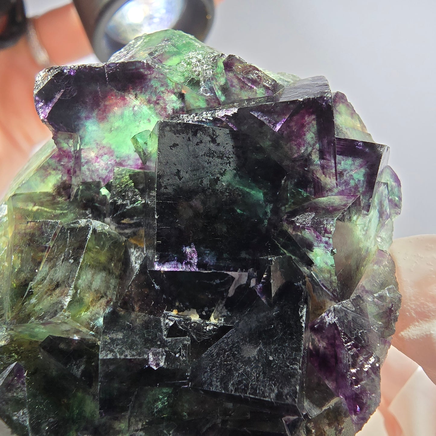 Rare spécimen de cube de fluorite fantôme, vert-violet, Okorusu, Namibie, 58 x 48 x 19 mm