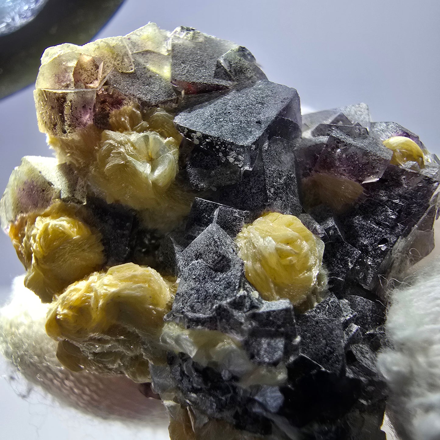 Spécimen de fluorite fantôme colorée, tourmaline schol, muscovite, hyalite, Erongo, Namibie, 42 x 28 x 29 mm