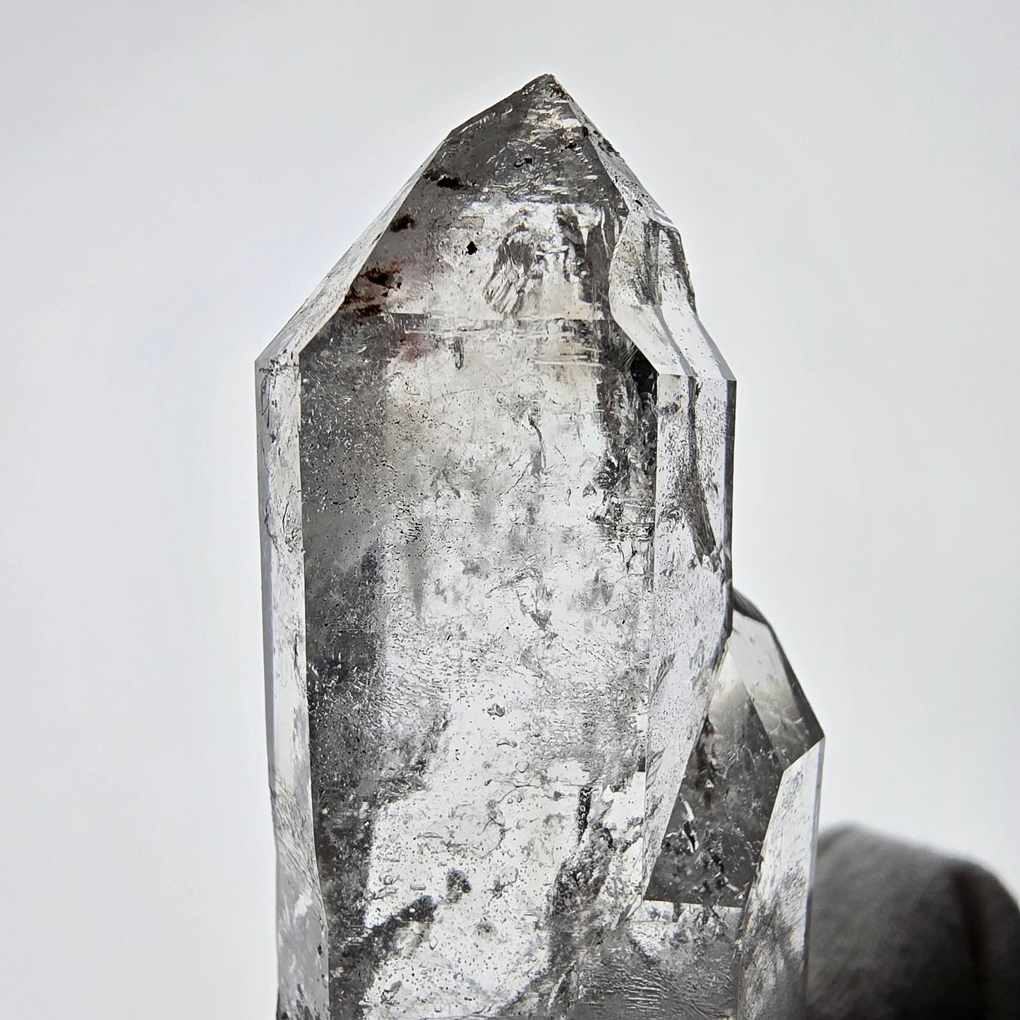 Sceptre de poche Enhydro Skeleton Smoky Quartz DT Valentine Goboboseb Namibie 112*26*18mm