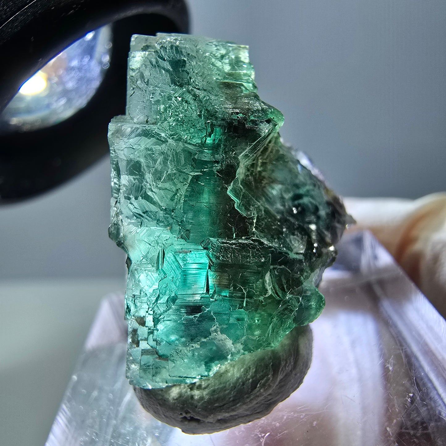 Phantom Fluorit Würfel Stufe, grün parkettiert Okorusu, Namibia 21*20*17mm