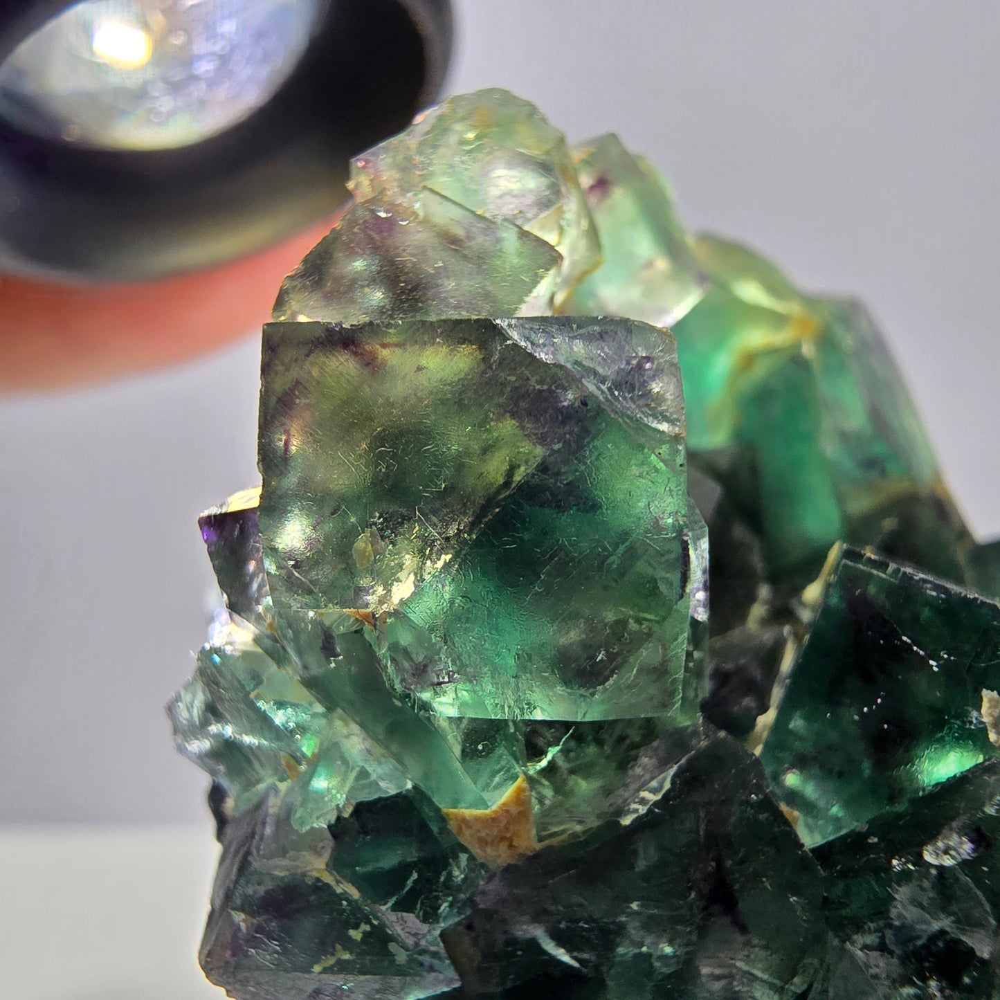 Spécimen de cube de fluorite fantôme parqueté vert violet Okorusu, Namibie 55*48*39mm
