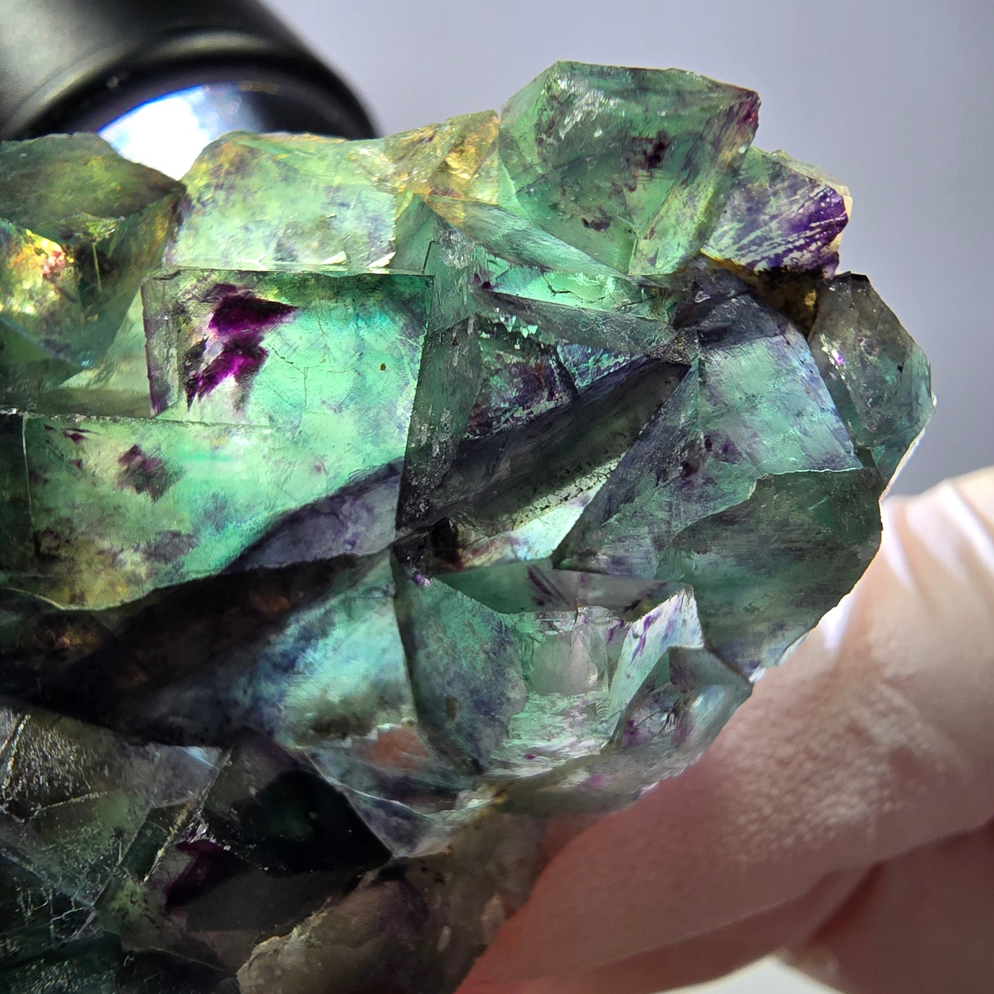 Spécimen de cube de fluorite fantôme, parqueté vert violet Okorusu, Namibie 64*41*19 mm