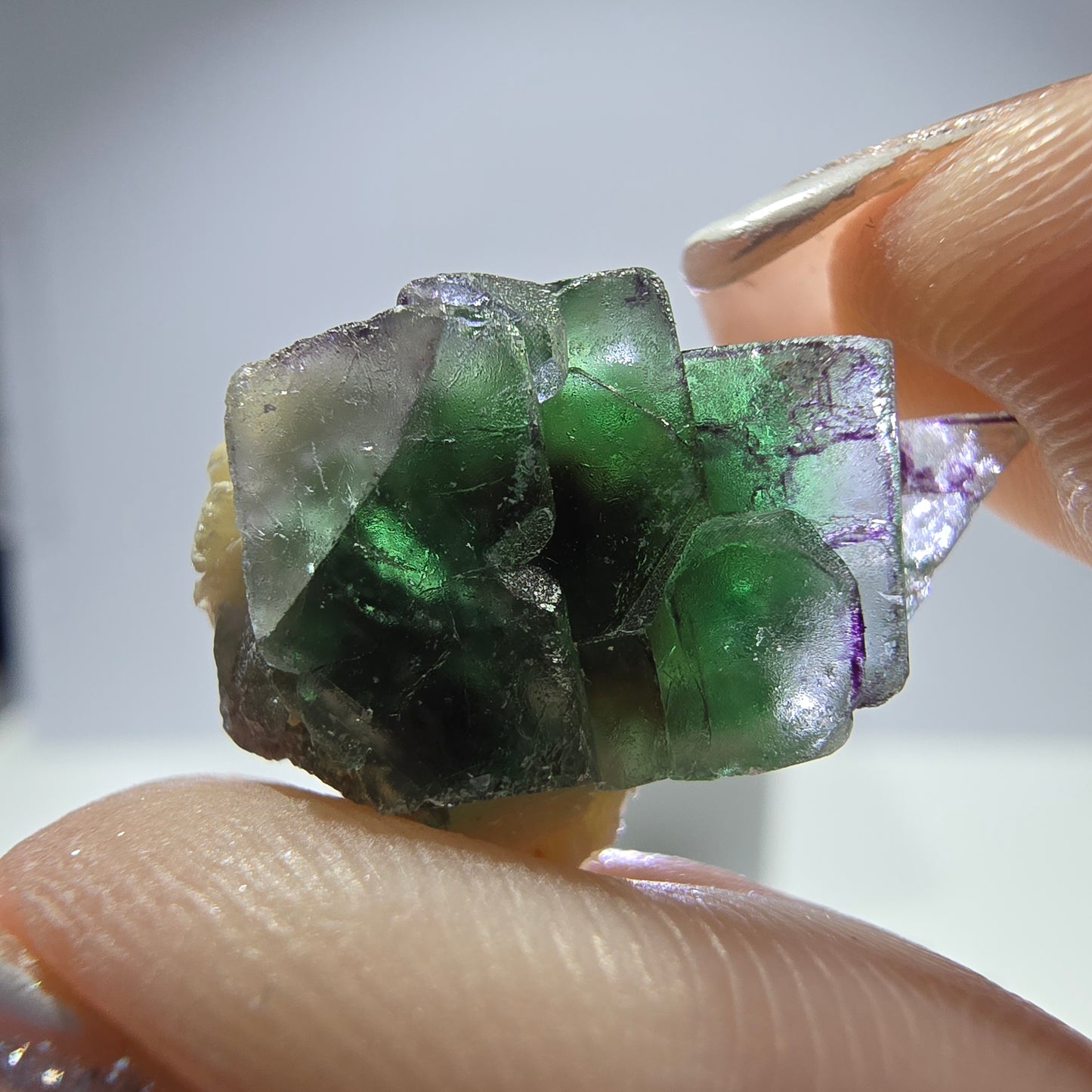 Lot de 16 tourmalines Schörl, fluorite fantôme, hyalite, stade muscovite, Erongo, Namibie