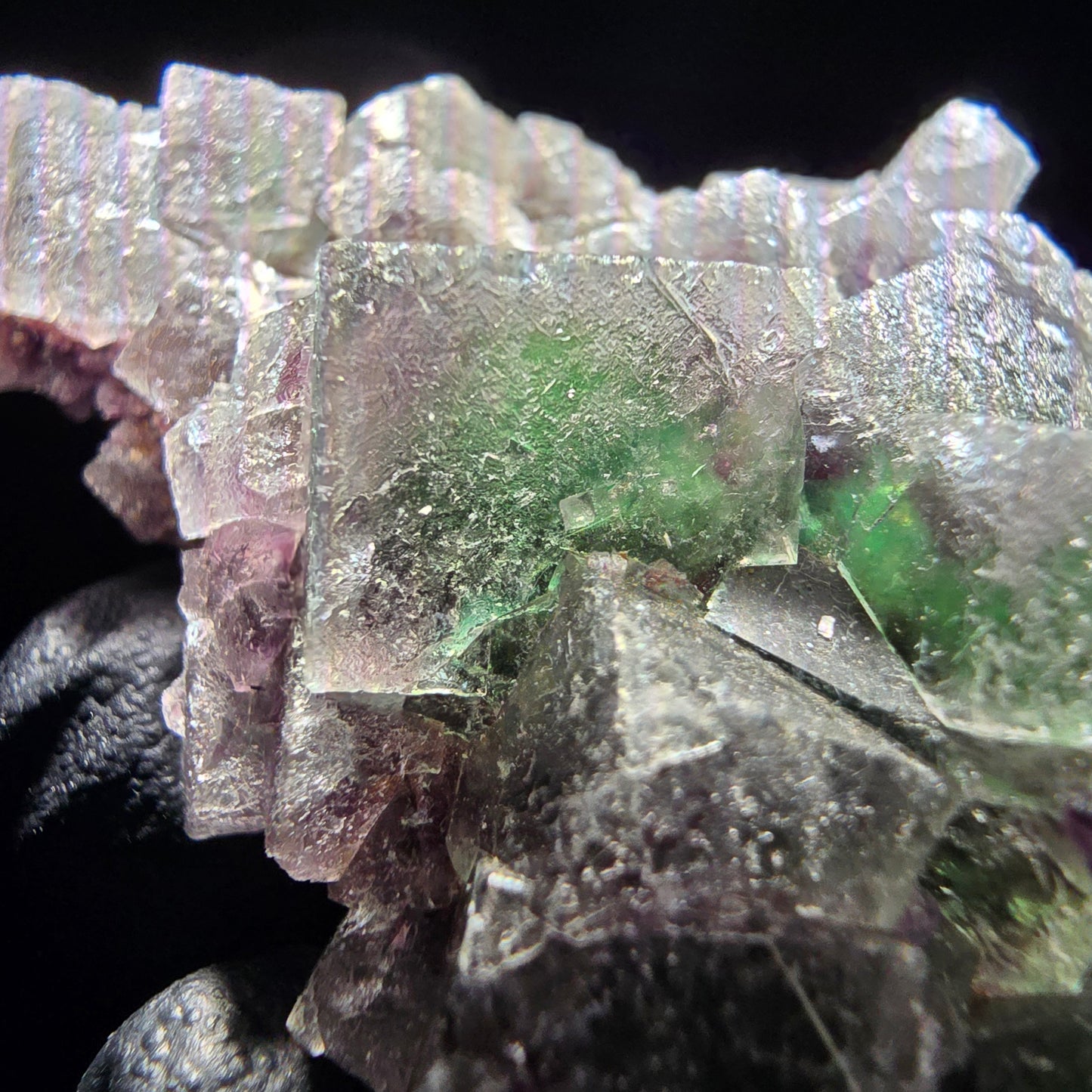 Phantom Fluorite Cube Tier Violet Vert Blanc Erongo, Namibie 55*35*21mm Collection