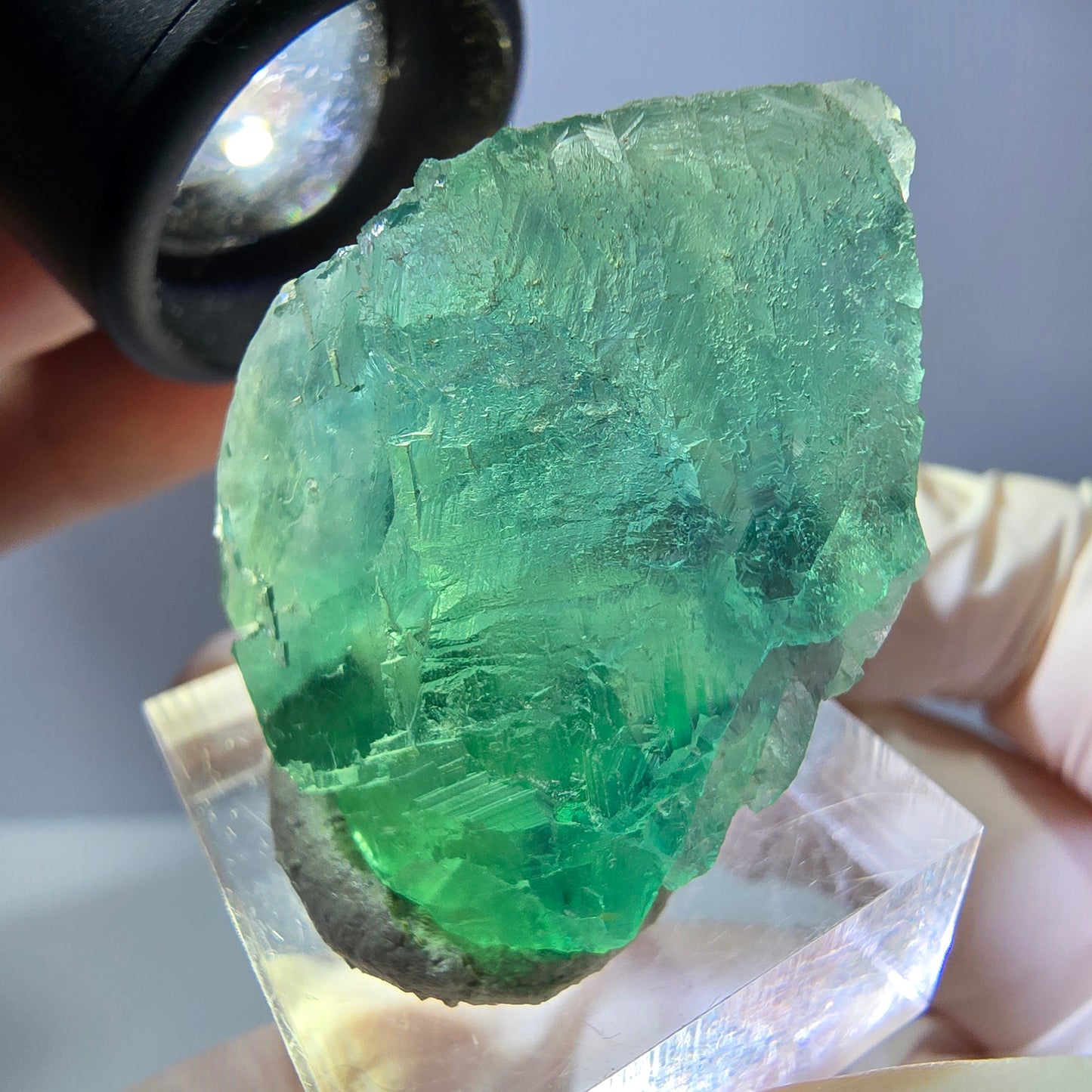Rare spécimen de cube de fluorite fantôme, vert Okorusu, Namibie 35 x 27 x 20 mm