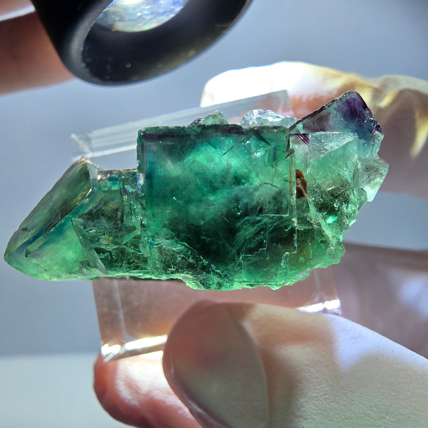 Rare spécimen de cube de fluorite, vert-violet, Okorusu, Namibie, 37 x 21 x 18 mm