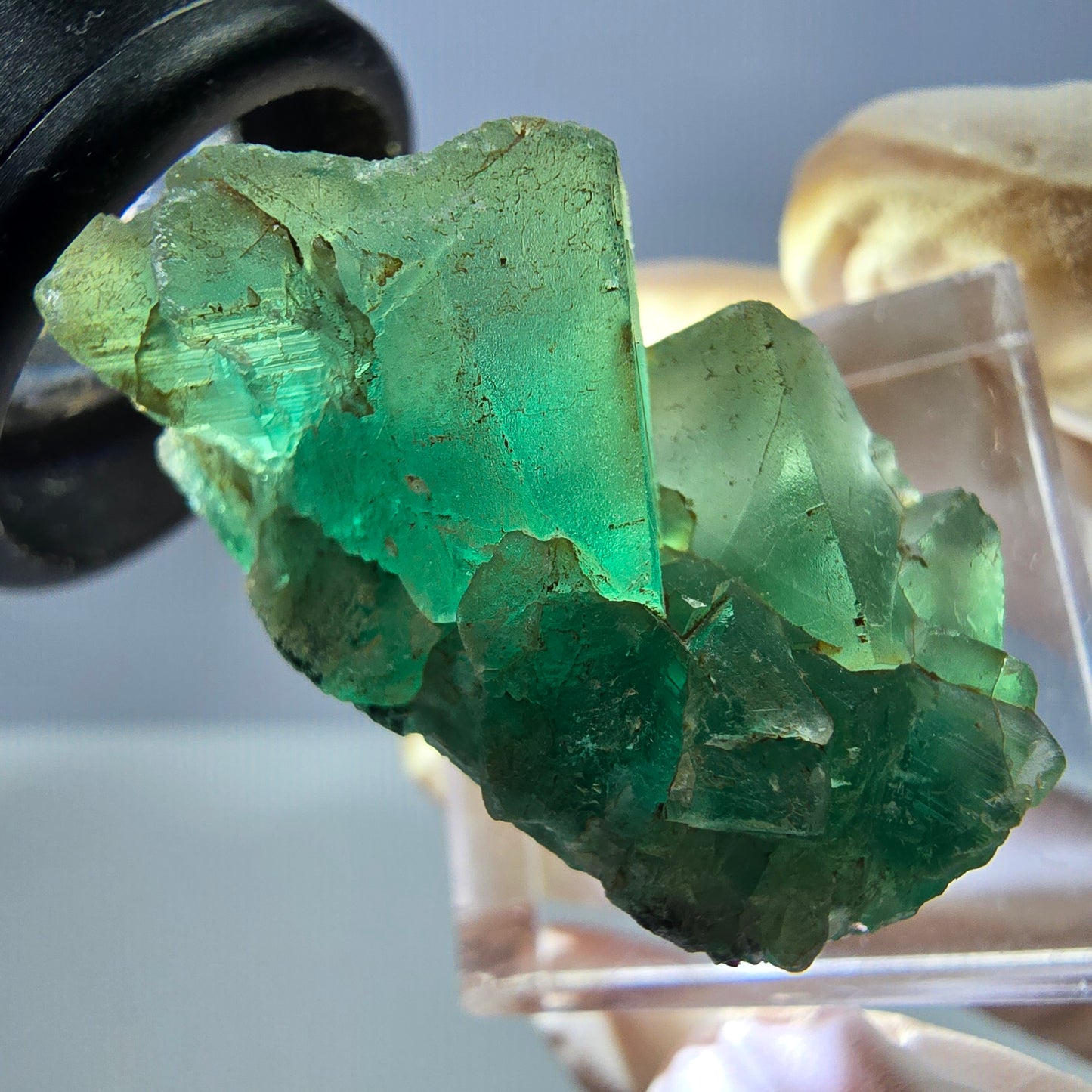 Spécimen de cube de fluorite fantôme, vert violet, Okorusu, Namibie, 35 x 19 x 19 mm