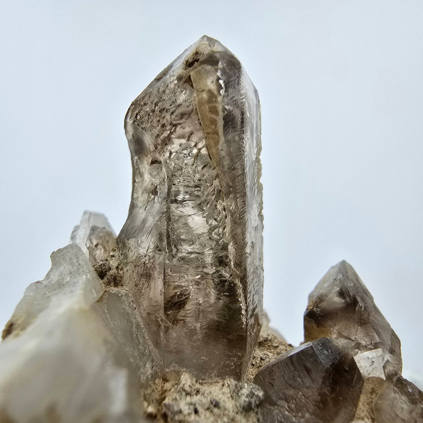 Phantom Rauchquarz Zepter auf Matrix Goboboseb, Namibia 57*51*47mm Sammlung