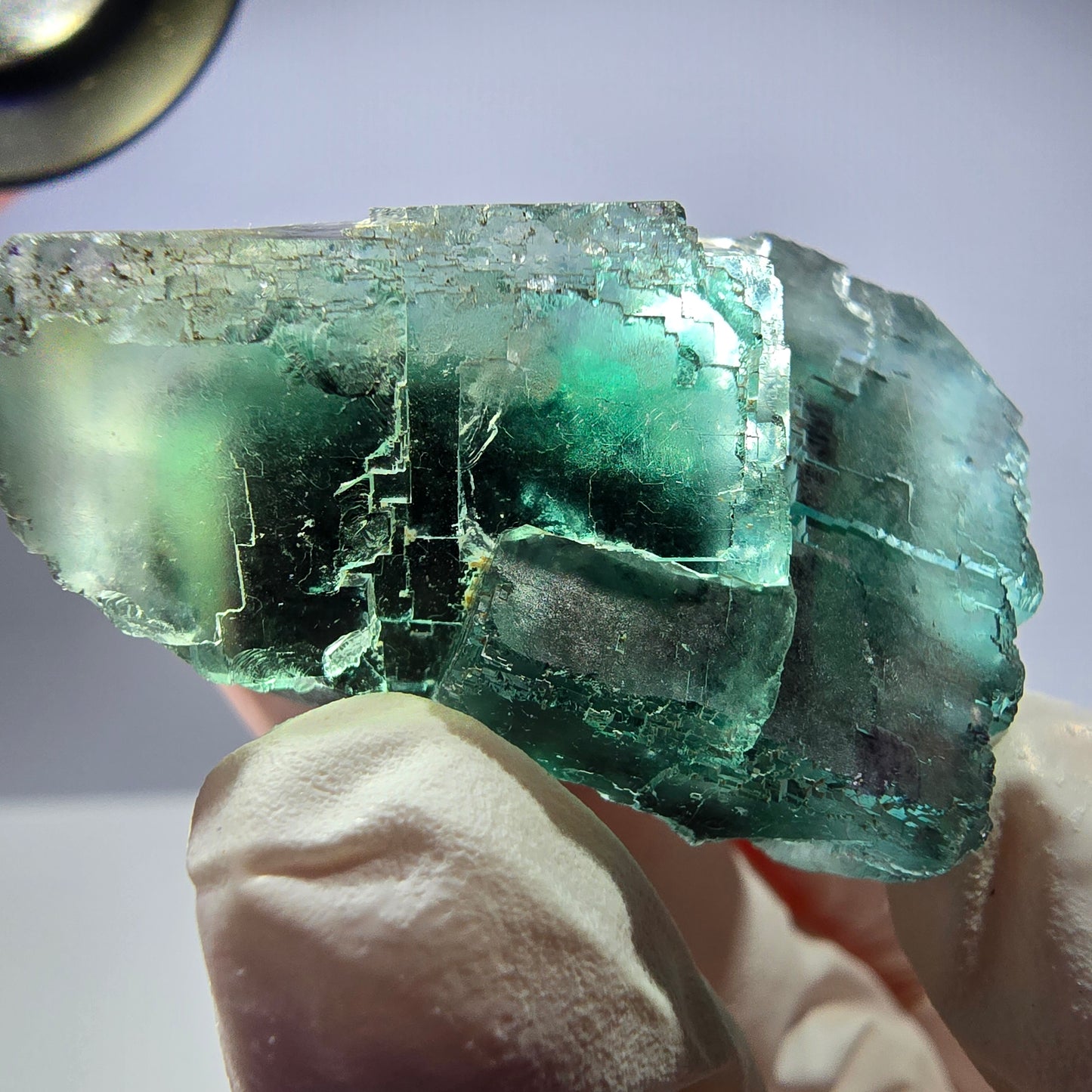 Phantom Fluorit Würfel Stufe parkettiert grün lila Okorusu, Namibia 40*29*21mm