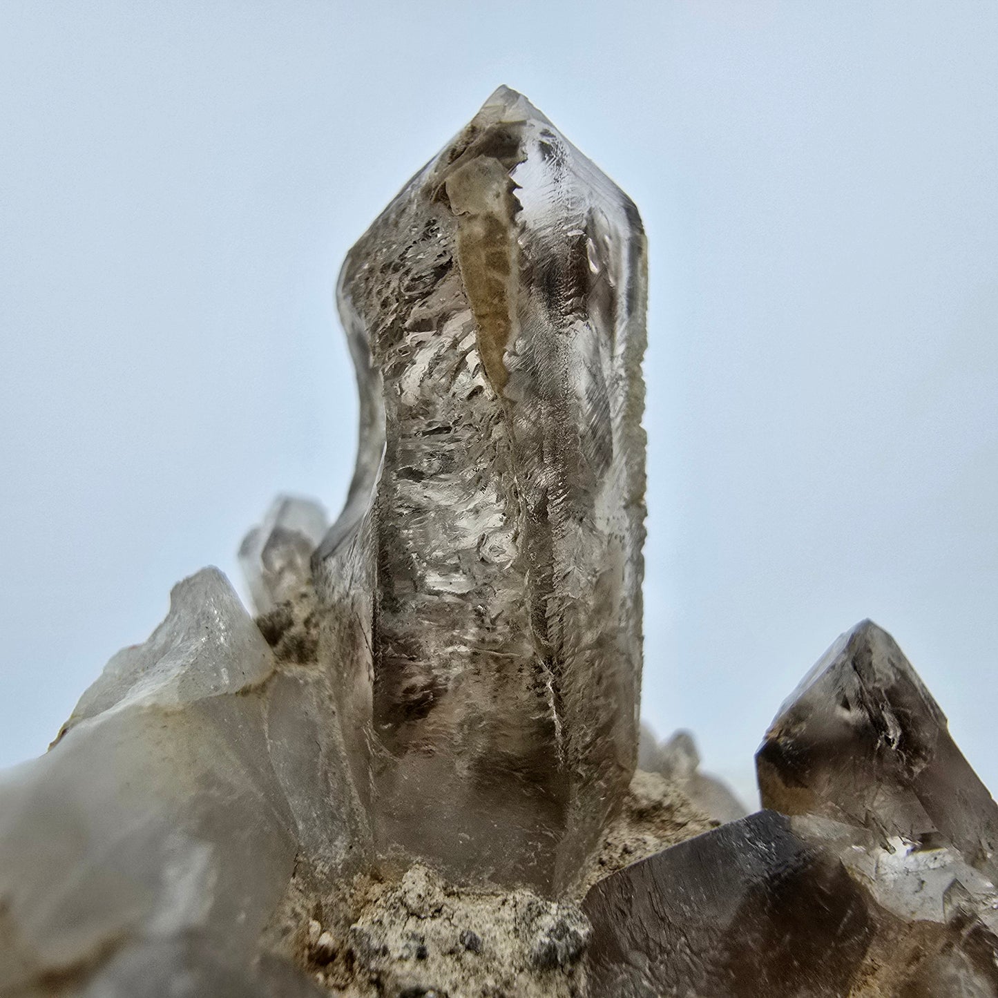 Phantom Rauchquarz Zepter auf Matrix Goboboseb, Namibia 57*51*47mm Sammlung