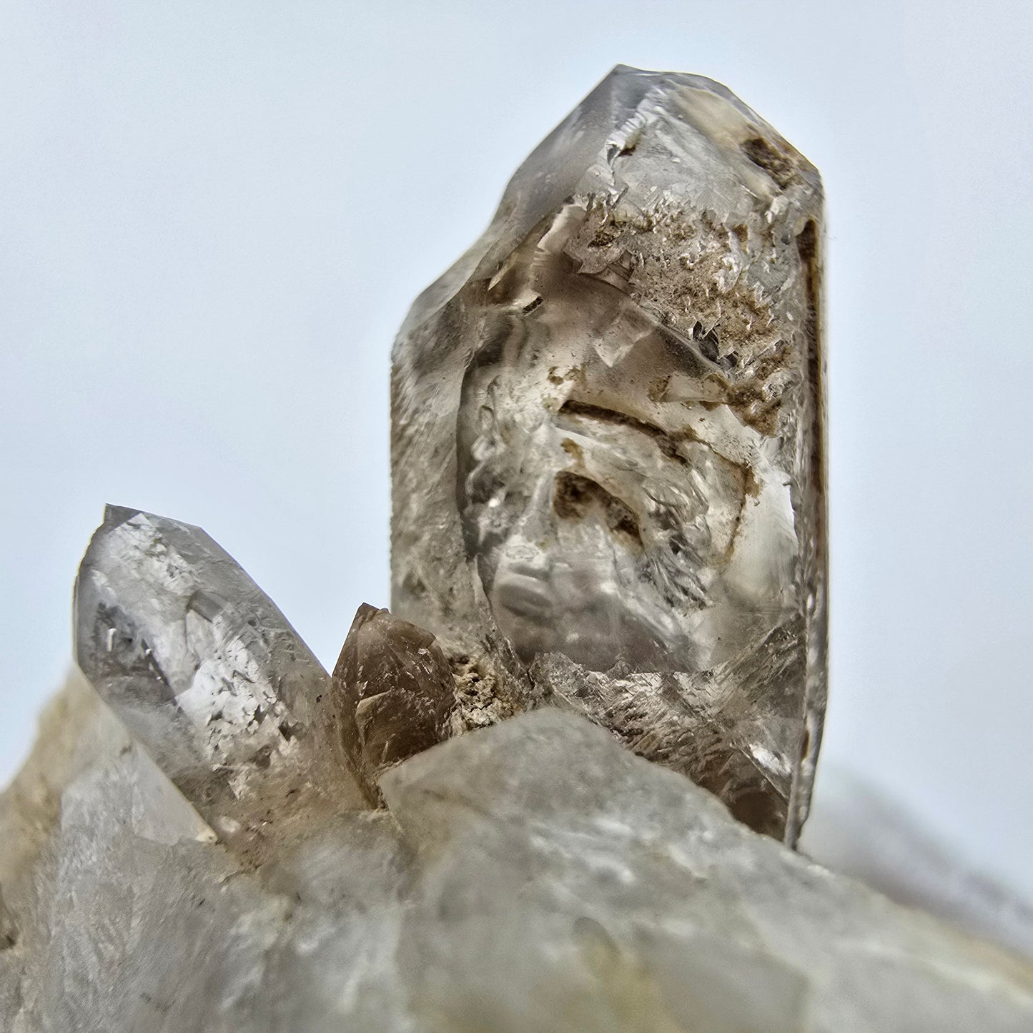 Phantom Rauchquarz Zepter auf Matrix Goboboseb, Namibia 57*51*47mm Sammlung