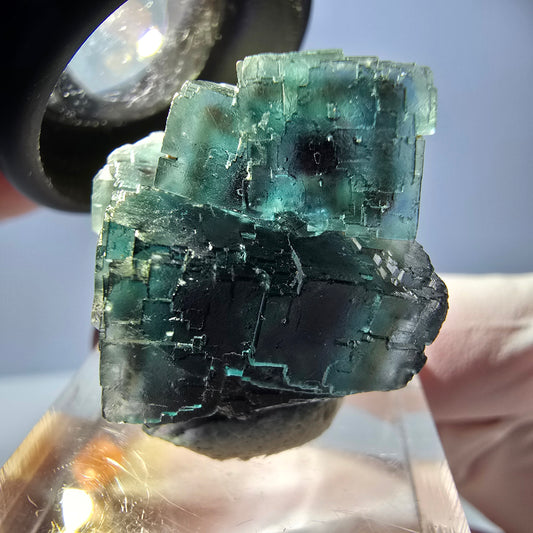 Spécimen de cube de fluorite fantôme, parqueté vert violet Okorusu, Namibie 25*18*18 mm 