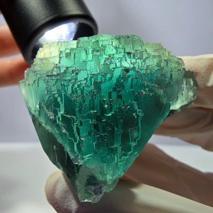 Spécimen de cube de fluorite fantôme transparente, vert parqueté, Okorusu, Namibie, 60 x 44 x 40 mm 