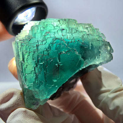 Spécimen de cube de fluorite fantôme transparente, vert parqueté, Okorusu, Namibie, 60 x 44 x 40 mm 