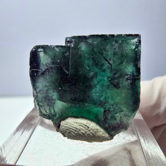Cube de fluorite fantôme parqueté, vert violet Okorusu, Namibie 22*20*17mm 