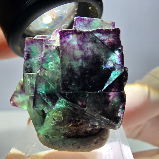 Phantom Fluorit Würfel Stufe, parkettiert grün lila Okorusu, Namibia 29*28*16mm