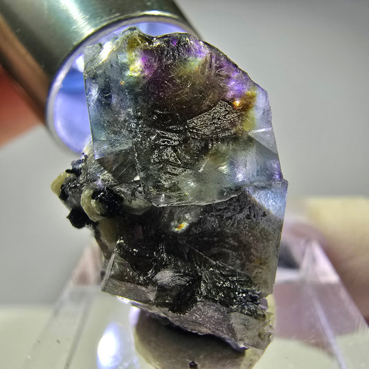 Cubes de fluorite fantôme colorés, muscovite, tourmaline Schorl, hyalite Erongo, Namibie 27 x 15 x 15 mm 