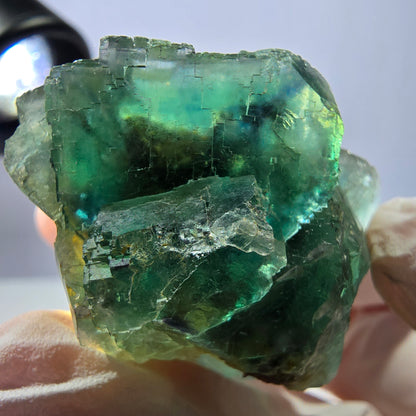 Spécimen de cube de fluorite fantôme transparente, vert parqueté, Okorusu, Namibie, 43 x 40 x 23 mm 