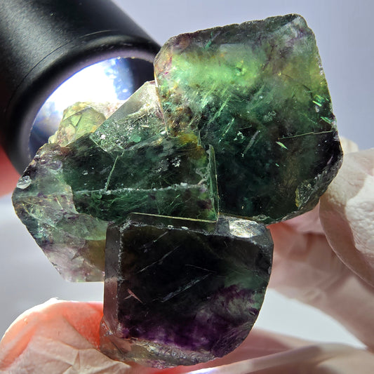 Spécimen de cube de fluorite fantôme, parqueté vert violet Okorusu, Namibie 33*34*21 mm 