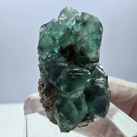 Spécimen de cube de fluorite fantôme, vert violet, Okorusu, Namibie, 32 x 20 x 18 mm 