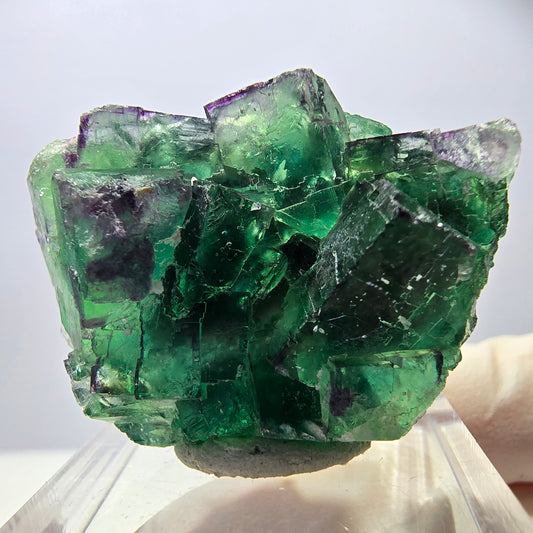 Rare Fluorite Cube Specimen, green purple Okorusu, Namibia 37*25*13mm 