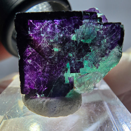 Phantom Fluorit Würfel Stufe grün lila zonal 11:11 Angel Pocket, Namibia 20*19*14mm