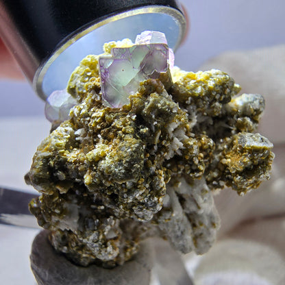 Cube de fluorite fantôme zonal, spécimen de muscovite, Erongo, Namibie, 27 x 25 x 23 mm 
