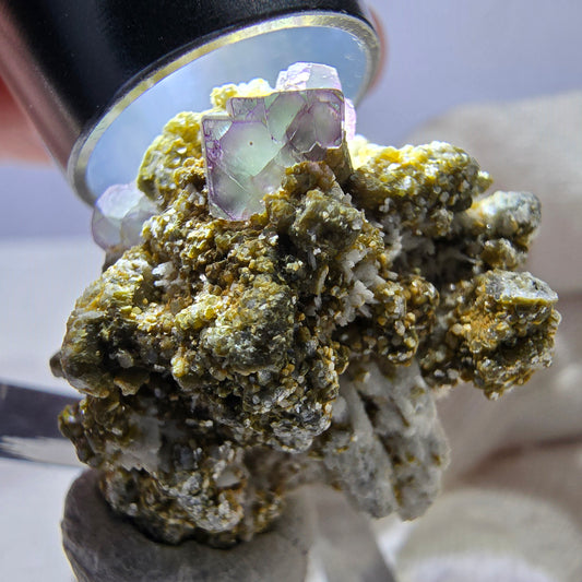 Cube de fluorite fantôme zonal, spécimen de muscovite, Erongo, Namibie, 27 x 25 x 23 mm 