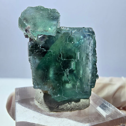Spécimen de cube de fluorite fantôme, parquet vert Okorusu, Namibie 29 x 22 x 19 mm 