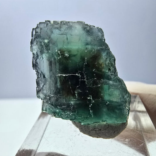 Spécimen de cube de fluorite fantôme, parquet vert Okorusu, Namibie 21 x 20 x 17 mm 